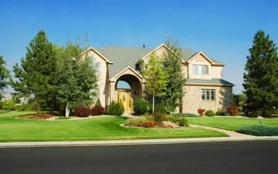 Local yard cleanup service in Land O' Lakes, FL - Bay Area Mulch And Landscape