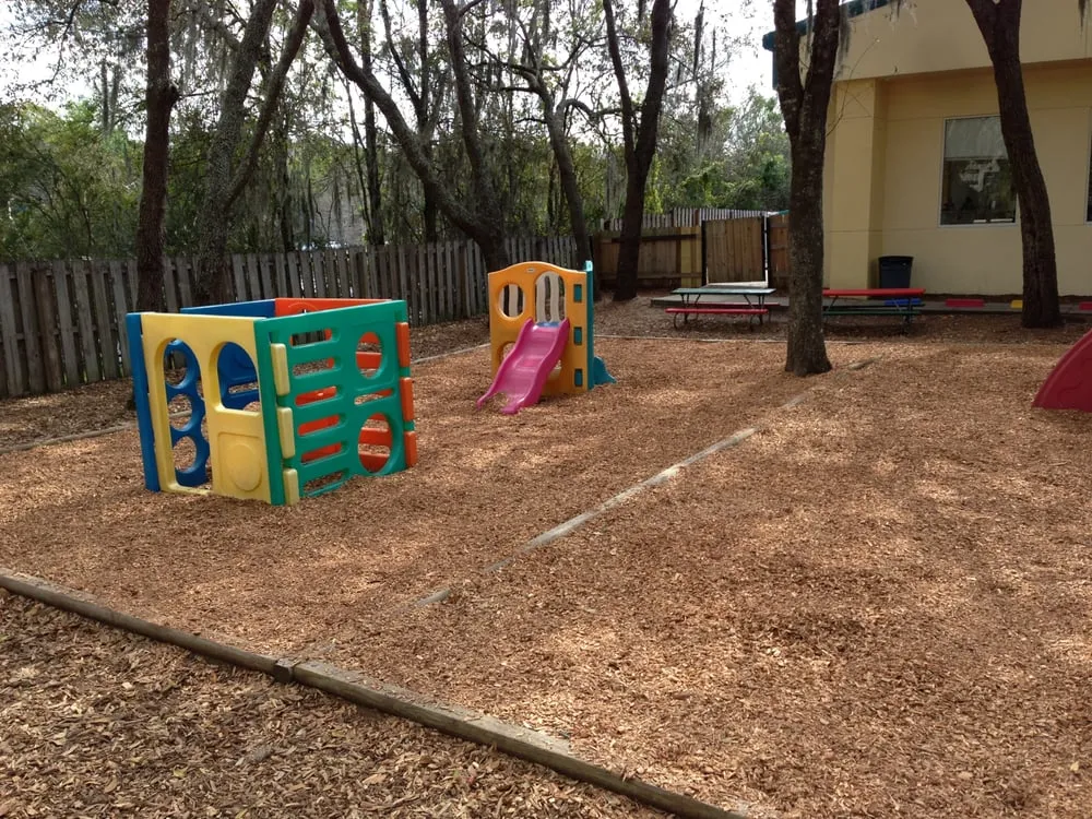 Reliable yard cleanup service for year-round maintenance across Land O' Lakes, FL - Bay Area Mulch And Landscape