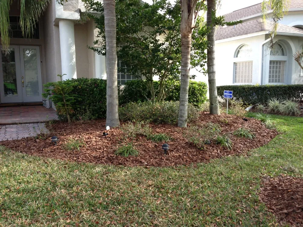 Local residential landscaping for year-round maintenance in Land O' Lakes, FL by Bay Area Mulch And Landscape
