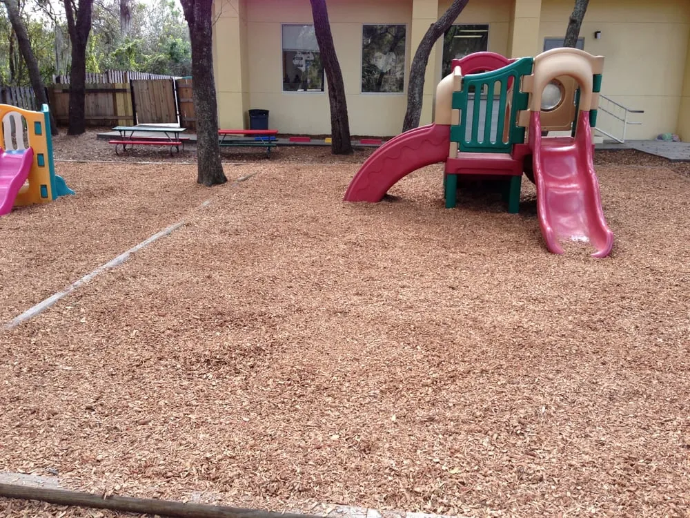 Top-rated landscaping services in Land O' Lakes, FL by Bay Area Mulch And Landscape