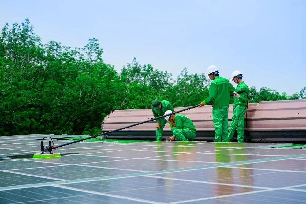 Local lawn care service for beautiful yards across Menlo Park, CA - Bay Area Property Care