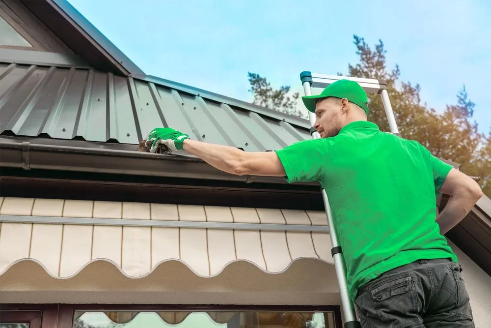 Professional landscape design in Menlo Park, CA by Bay Area Property Care