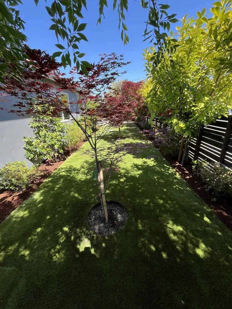 Trusted lawn mowing service for residential properties across Redwood City, CA - Bay Area R Landscape