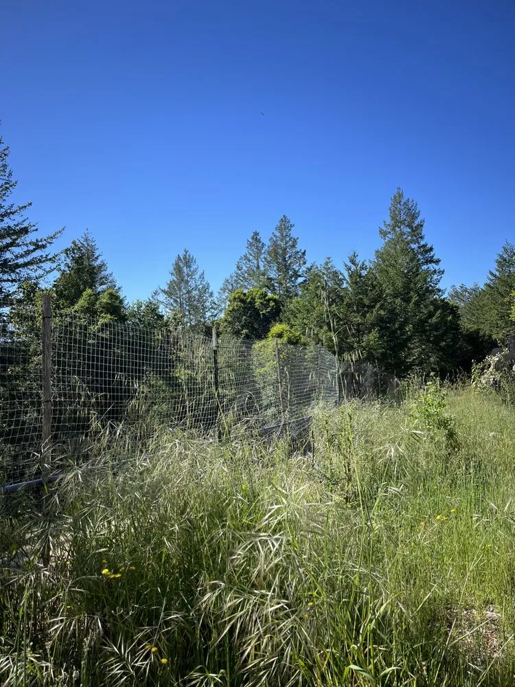 Professional yard maintenance with custom design in Redwood City, CA by Bay Area R Landscape