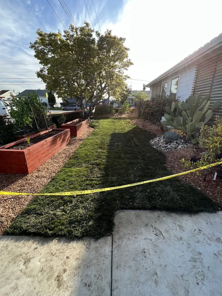 Affordable outdoor landscaping experts serving Redwood City, CA - Bay Area R Landscape