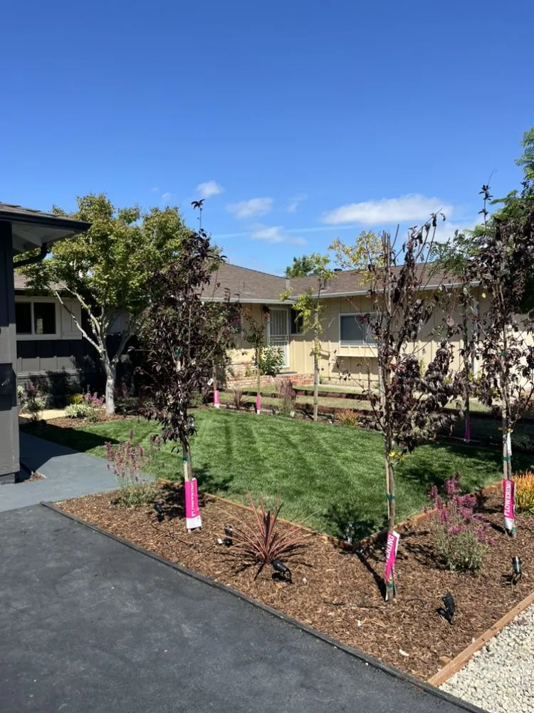 Custom lawn mowing service experts serving Redwood City, CA - Bay Area R Landscape