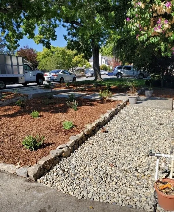 Top-rated yard cleanup service in Redwood City, CA - Bay Area R Landscape