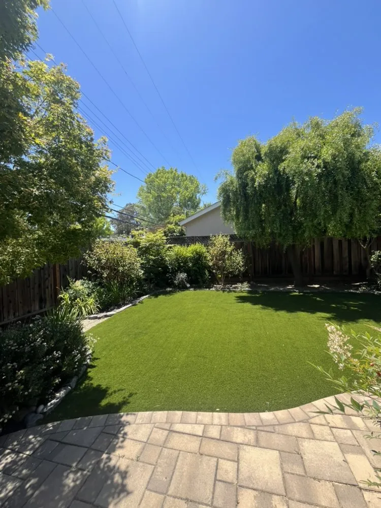 Professional yard cleanup service for beautiful yards in Redwood City, CA by Bay Area R Landscape