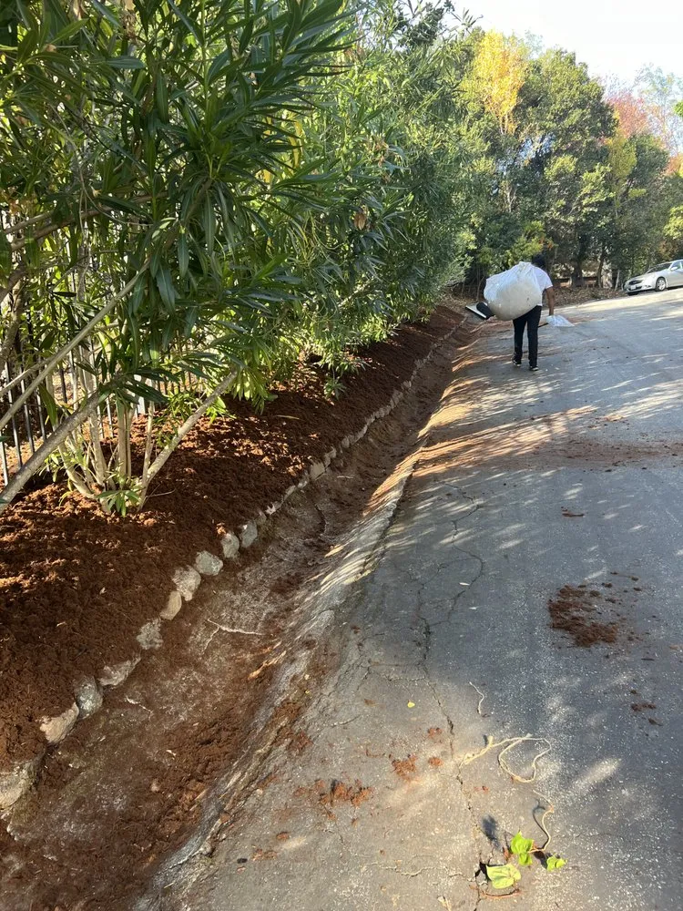 Professional lawn care service for year-round maintenance in Redwood City, CA by Bay Area R Landscape