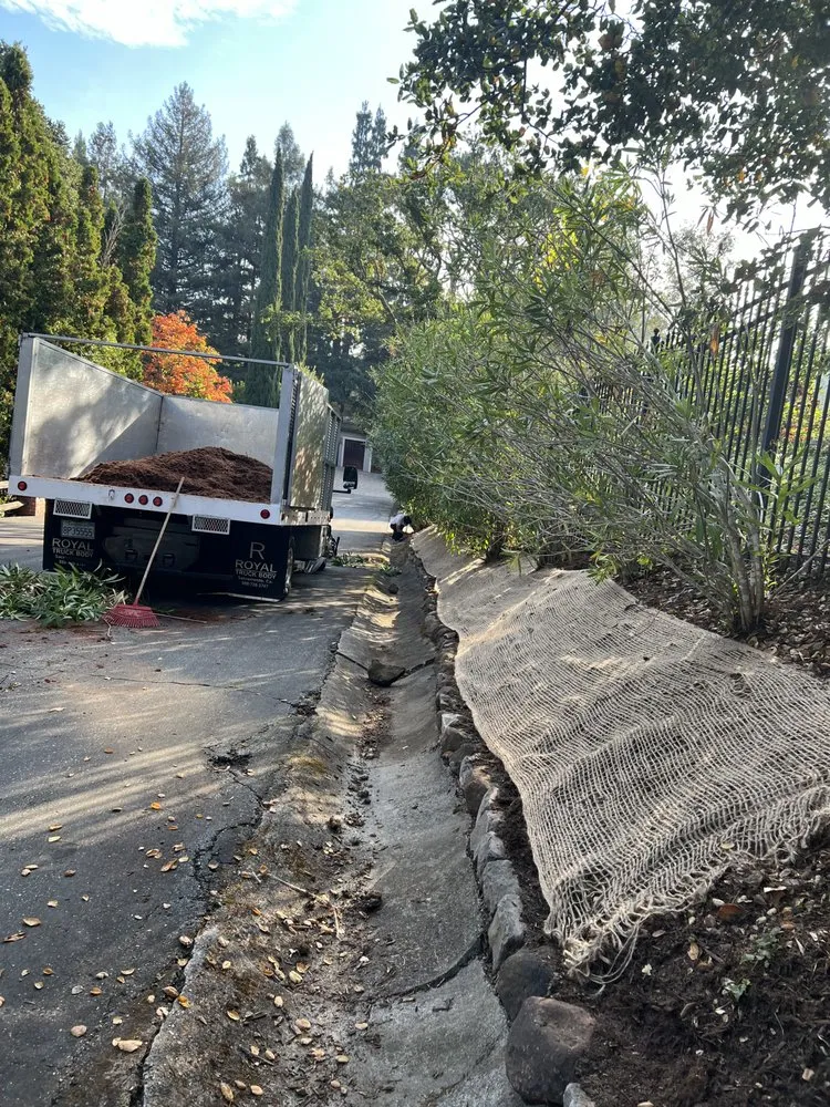 Professional yard maintenance experts serving Redwood City, CA - Bay Area R Landscape