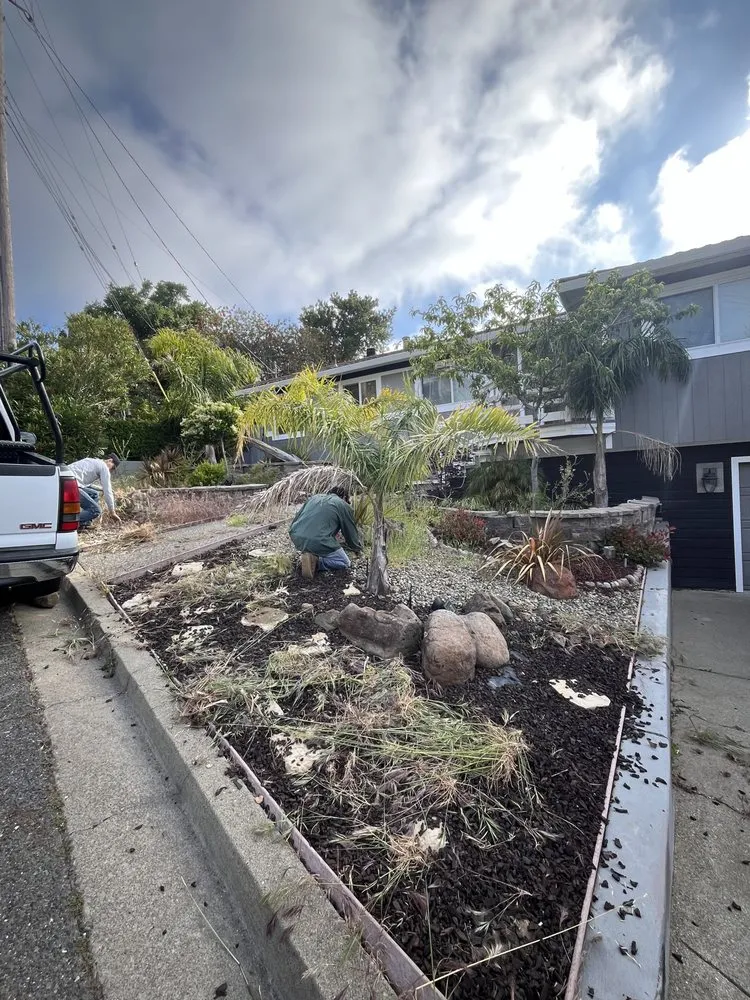 Trusted landscape installation for beautiful yards in Redwood City, CA by Bay Area R Landscape