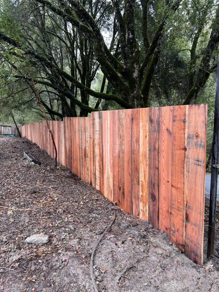 Trusted yard maintenance near you across Redwood City, CA - Bay Area R Landscape