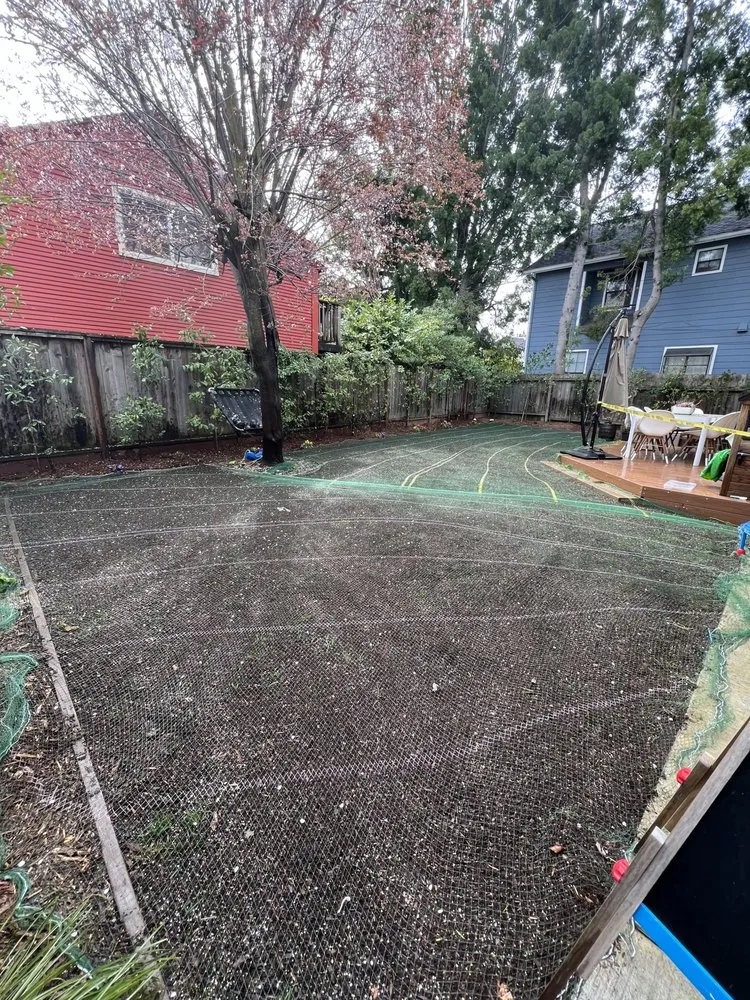 Expert lawn care service experts serving Redwood City, CA - Bay Area R Landscape