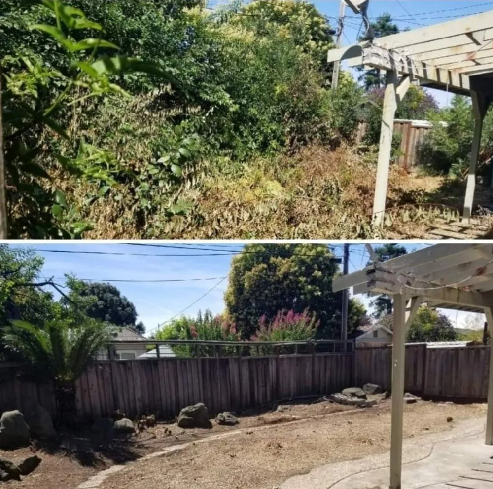 Affordable landscape installation in San Jose, CA - Bay Area Service