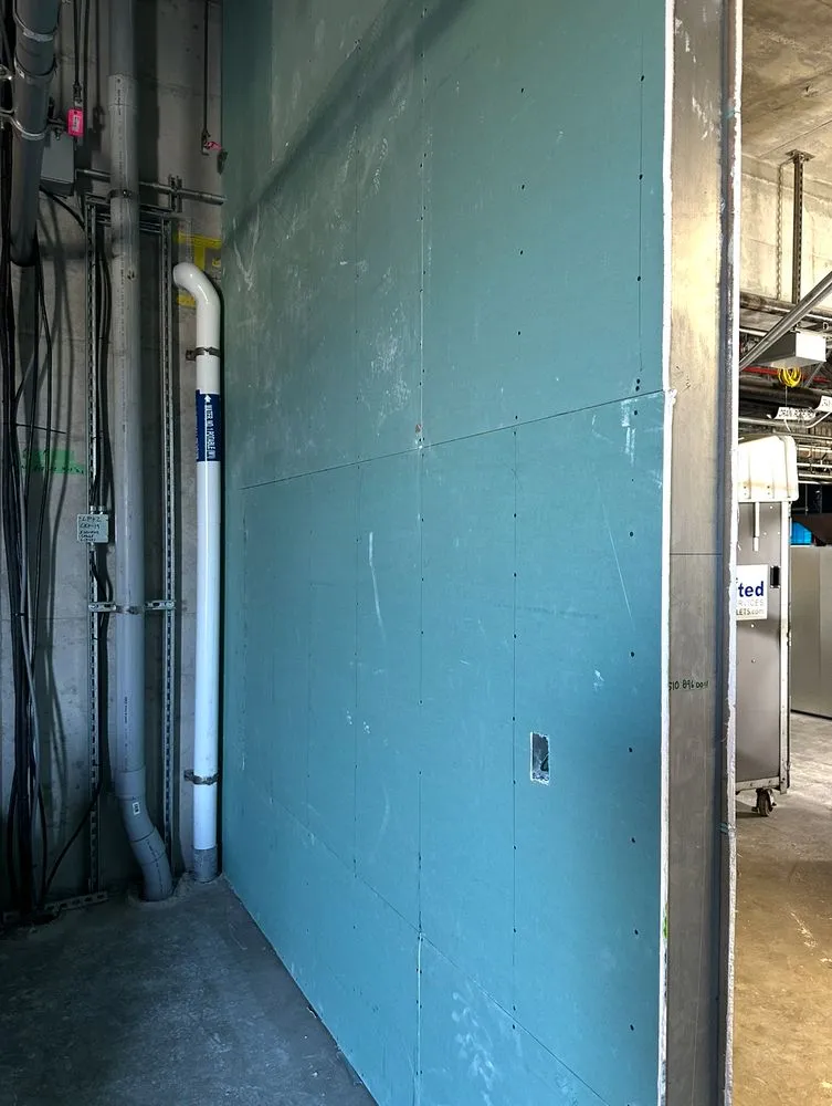 Trusted yard cleanup service in San Jose, CA by Bay Area Service