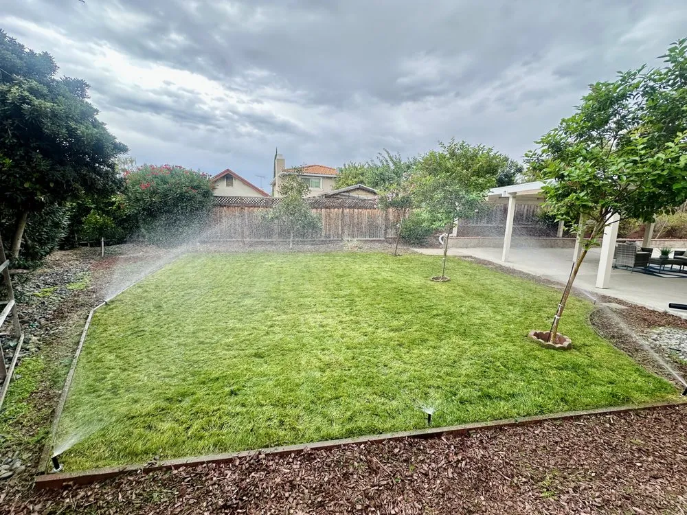 Top-rated lawn care service in San Jose, CA - Bay Area Service