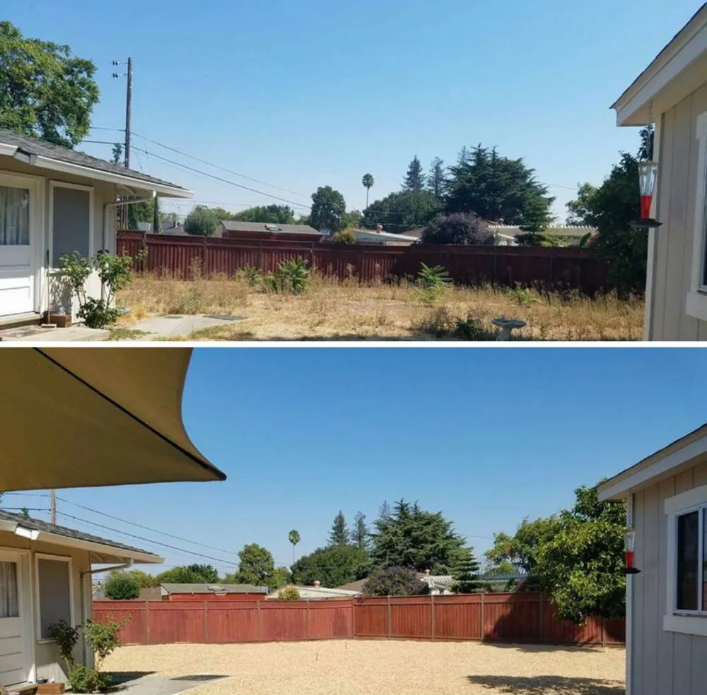 Expert landscaping services in San Jose, CA by Bay Area Service