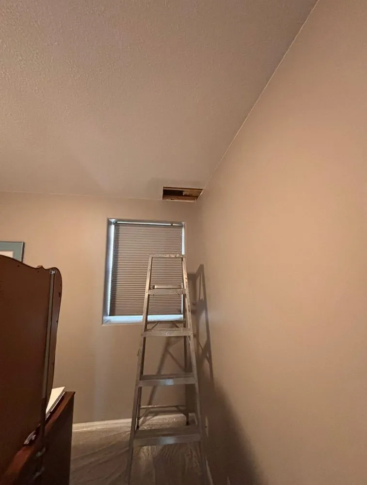 Top-rated yard cleanup service in San Jose, CA by Bay Area Service