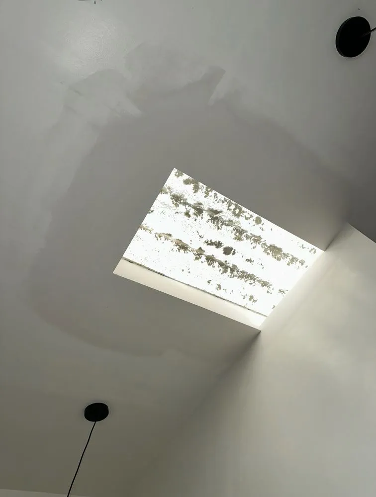 Expert lawn care service experts serving San Jose, CA - Bay Area Service