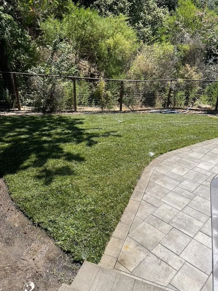 Affordable yard cleanup service for outdoor upgrades in Walnut Creek, CA by Bay Area Sprinkler & Landscape