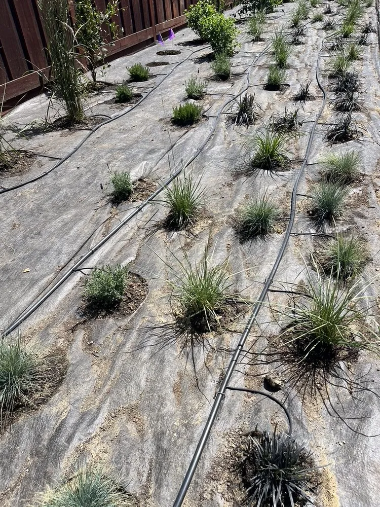 Local landscaping services with custom design across Walnut Creek, CA - Bay Area Sprinkler & Landscape