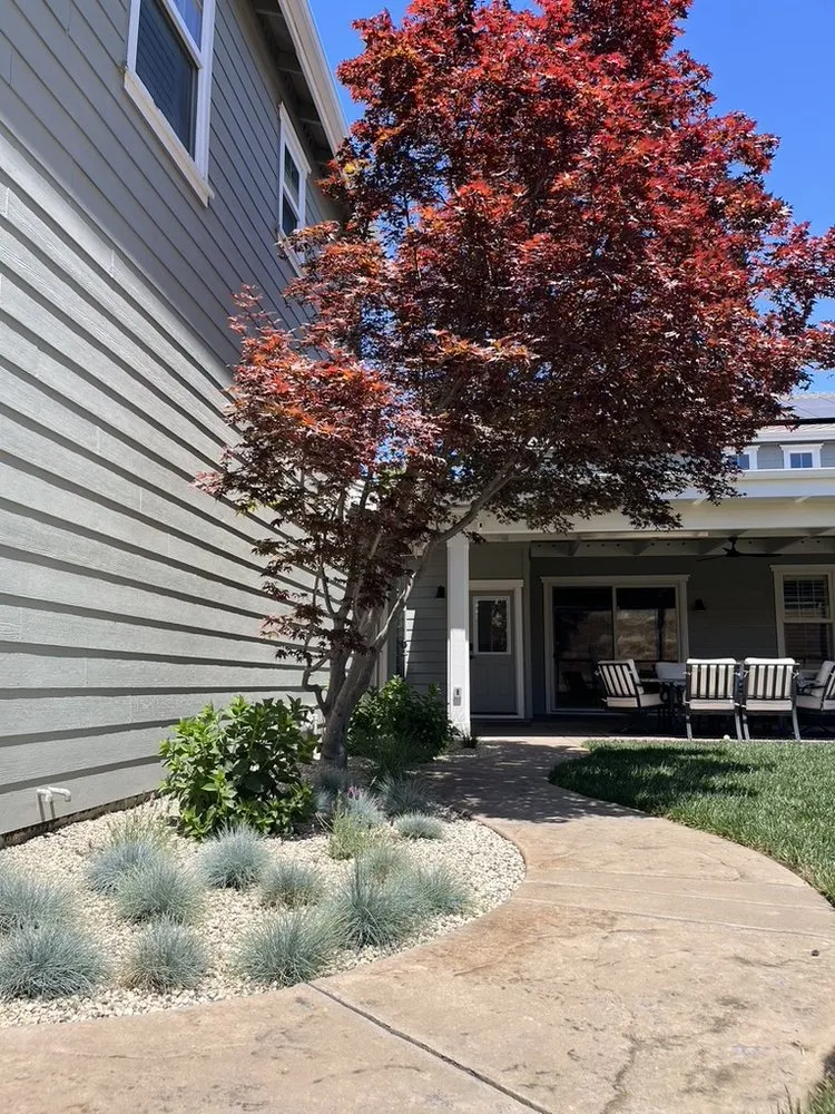 Affordable residential landscaping in Walnut Creek, CA - Bay Area Sprinkler & Landscape