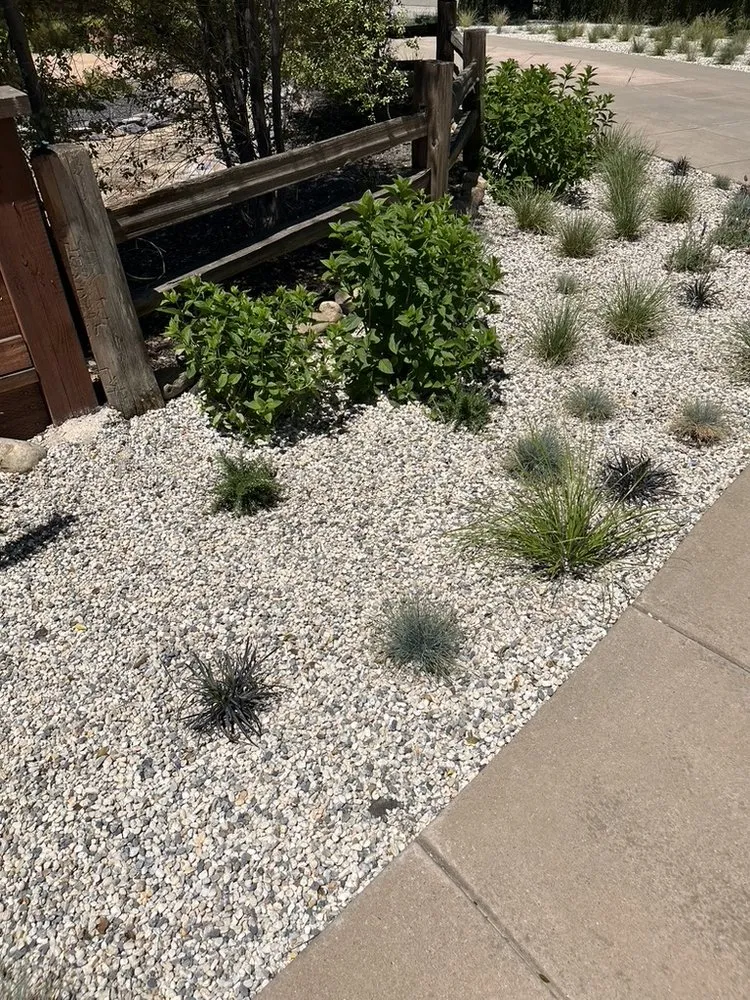 Reliable lawn care service in Walnut Creek, CA by Bay Area Sprinkler & Landscape