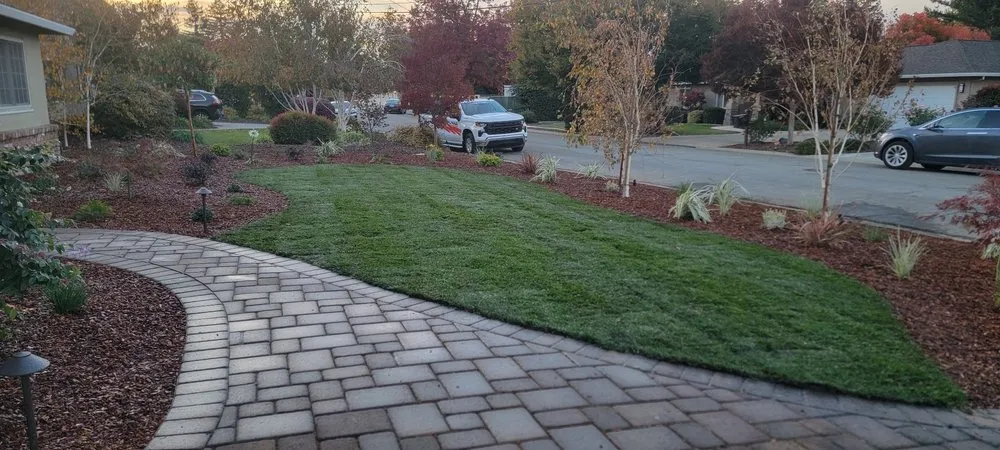 Affordable yard cleanup service in San Jose, CA by Bay Area Top Landscaping