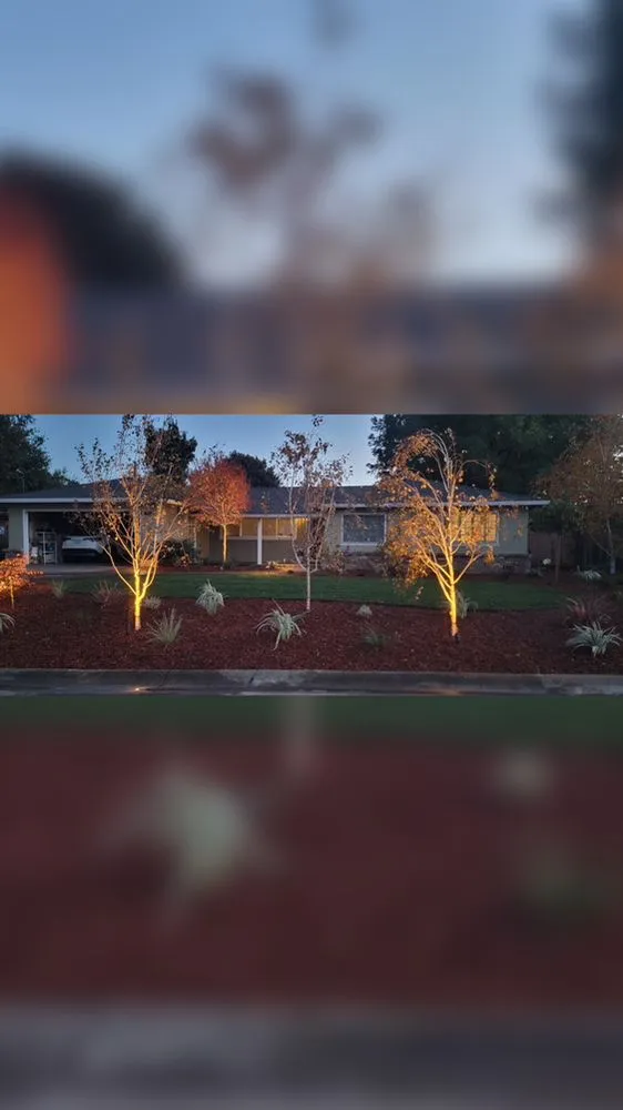 Custom lawn mowing service with custom design in San Jose, CA by Bay Area Top Landscaping