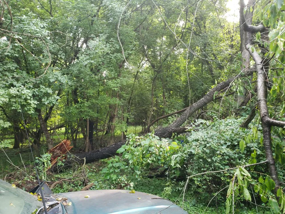 Expert garden landscaping experts serving Pasadena, MD - Bay Area Tree Care