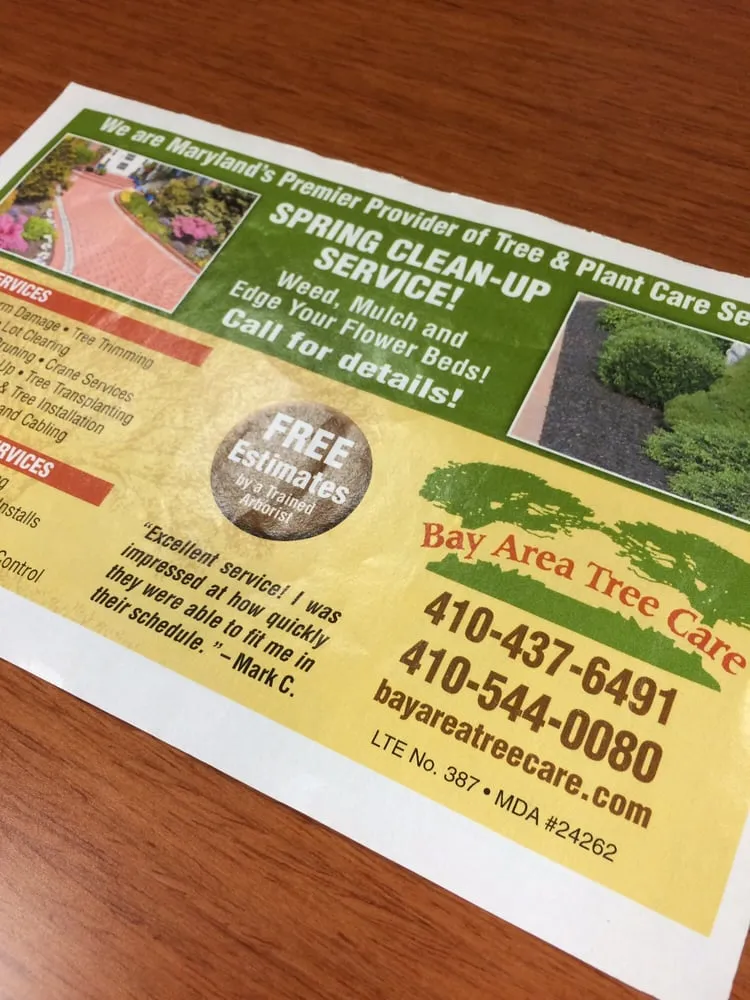 Expert landscaping services for beautiful yards across Pasadena, MD - Bay Area Tree Care