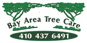 Trusted residential landscaping in Pasadena, MD - Bay Area Tree Care