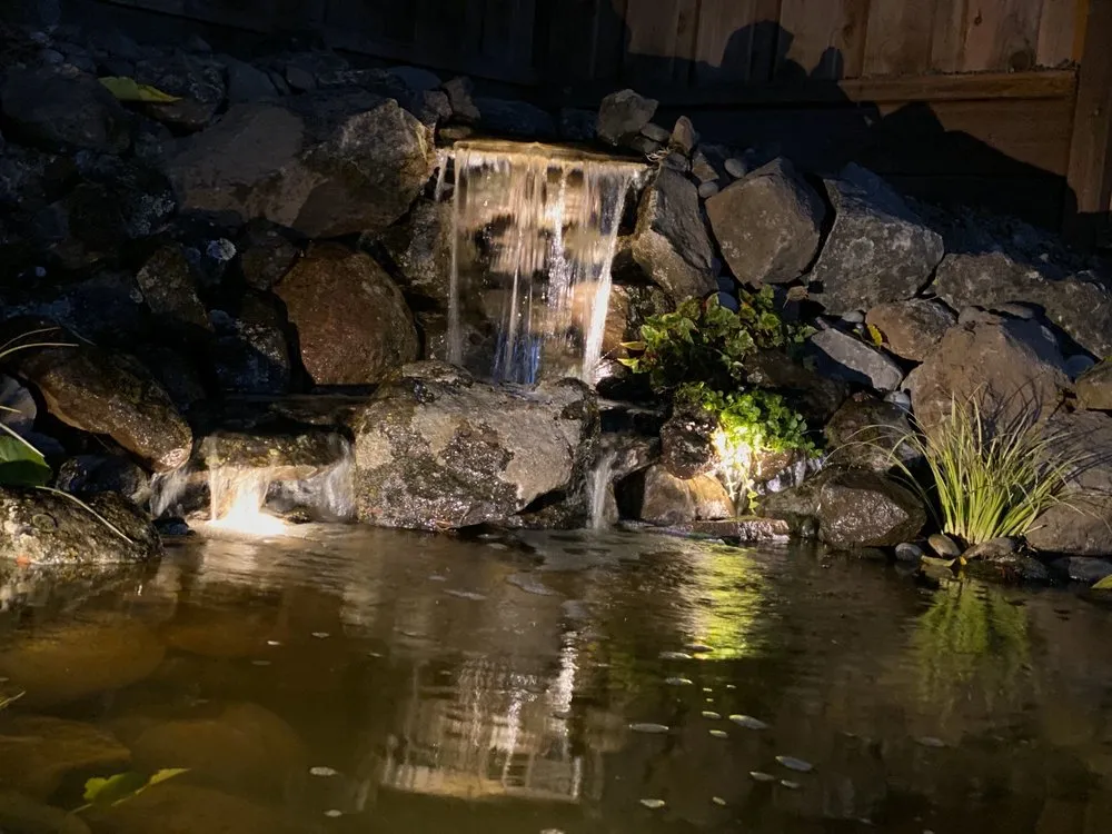 Professional yard maintenance in Walnut Creek, CA - Bay Area Waterscapes