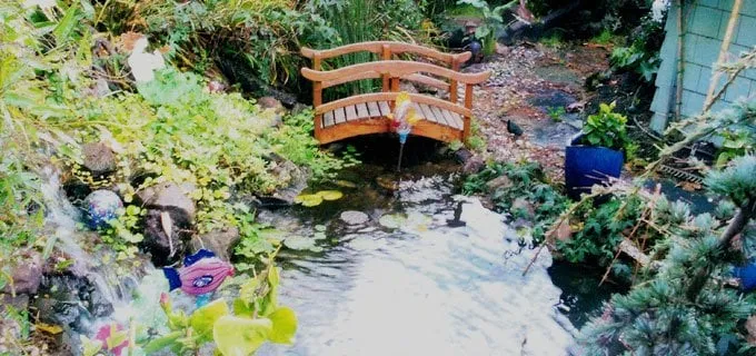 Expert landscaping services in Walnut Creek, CA - Bay Area Waterscapes
