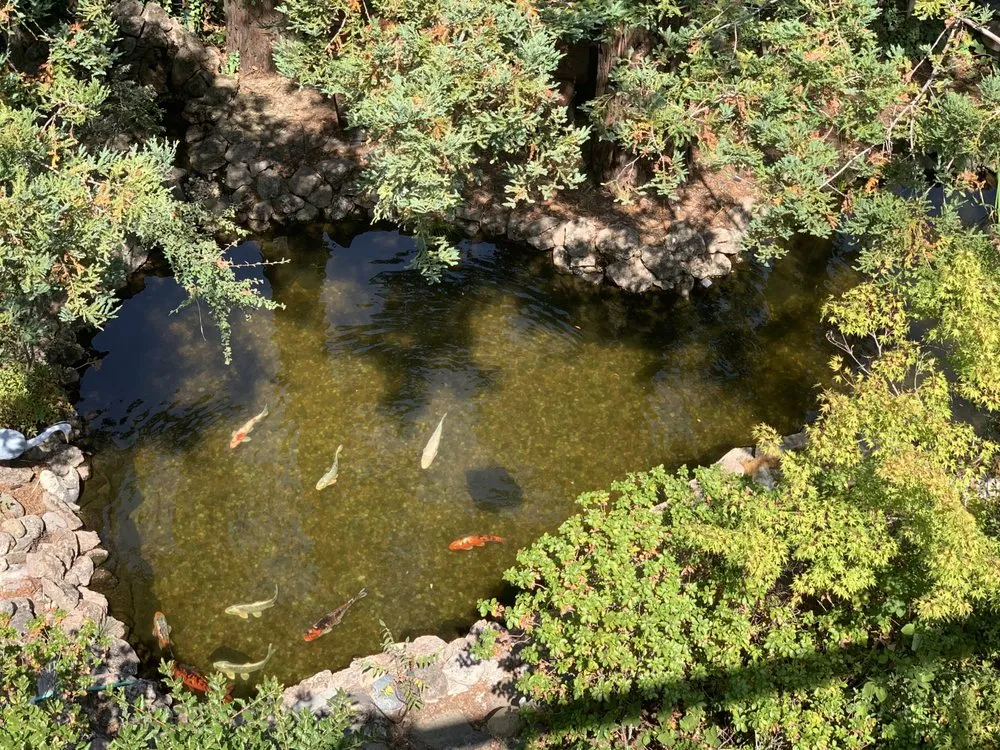 Affordable landscape design for year-round maintenance across Walnut Creek, CA - Bay Area Waterscapes