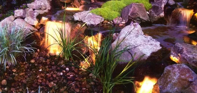 Expert yard cleanup service for residential properties in Walnut Creek, CA by Bay Area Waterscapes