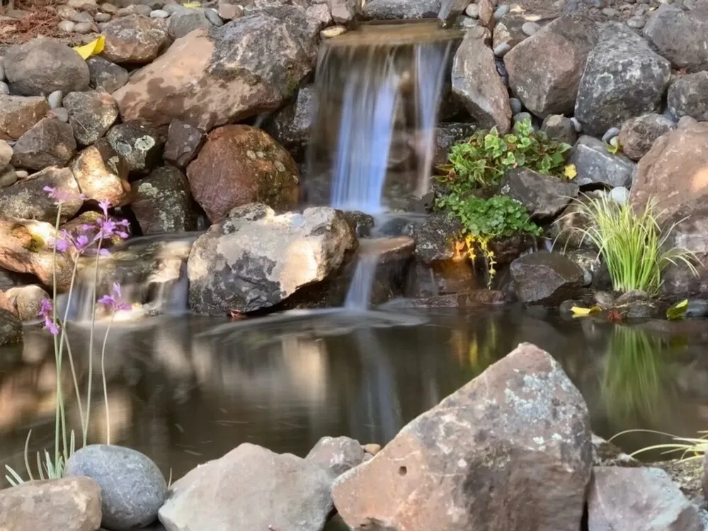 Top-rated lawn care service for homes across Walnut Creek, CA - Bay Area Waterscapes