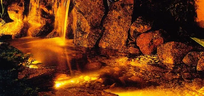 Reliable yard cleanup service in Walnut Creek, CA by Bay Area Waterscapes