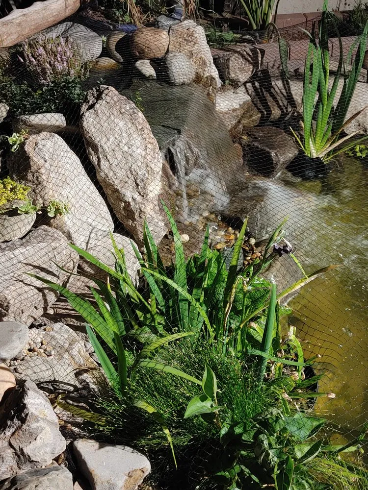 Affordable lawn care service experts serving Walnut Creek, CA - Bay Area Waterscapes