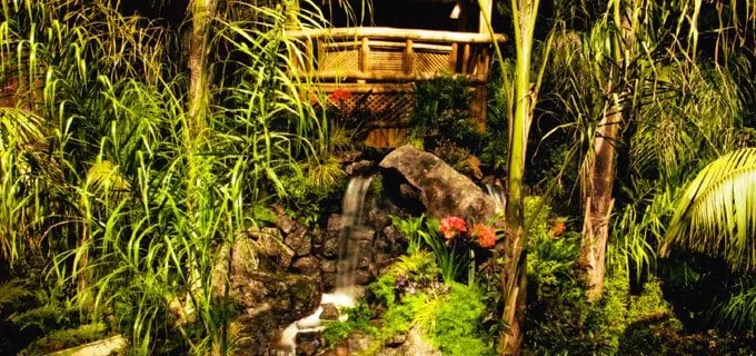 Professional outdoor landscaping experts serving Walnut Creek, CA - Bay Area Waterscapes