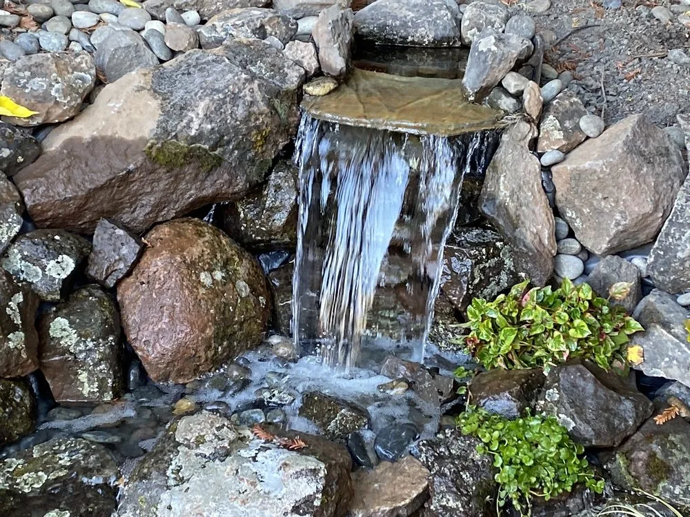 Affordable landscaping services in Walnut Creek, CA by Bay Area Waterscapes