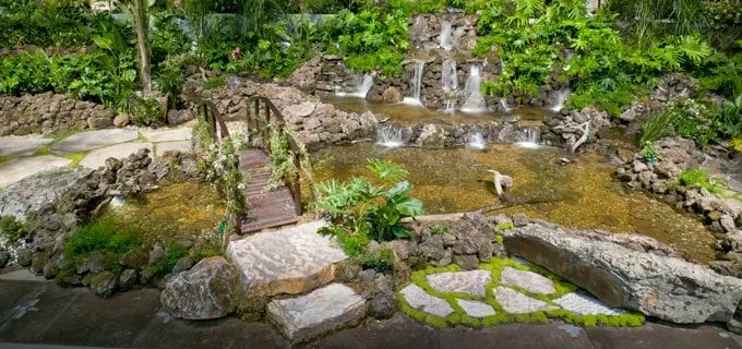 Custom yard cleanup service in Walnut Creek, CA by Bay Area Waterscapes