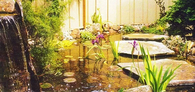 Affordable yard cleanup service experts serving Walnut Creek, CA - Bay Area Waterscapes