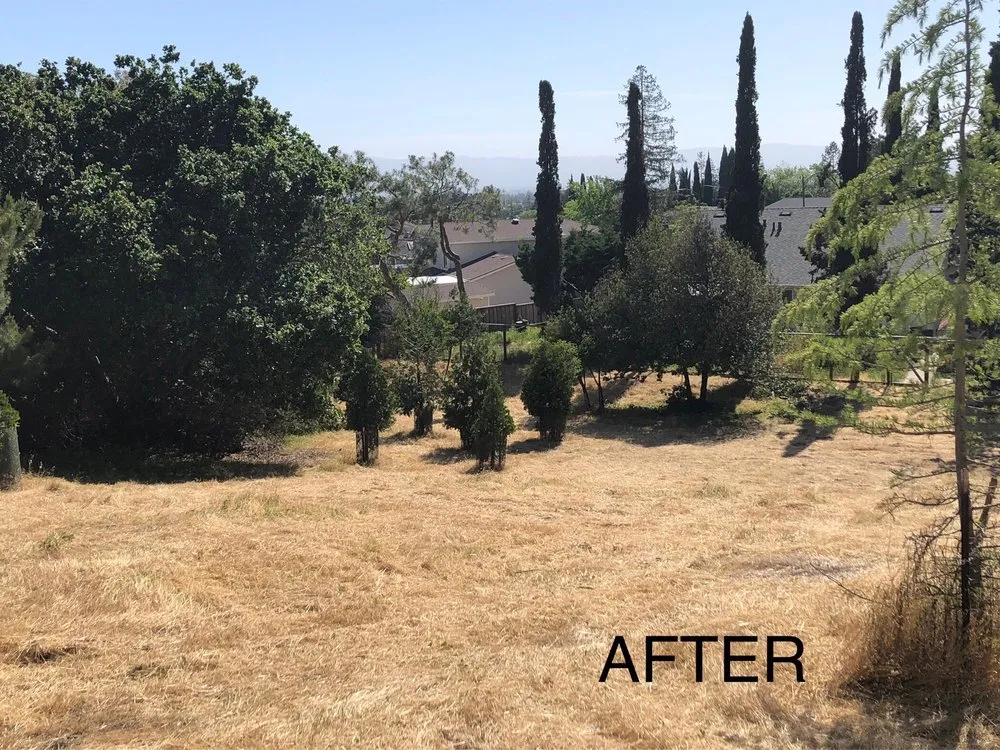 Trusted landscape design for outdoor upgrades in Morgan Hill, CA by Bay Area Weed Eaters