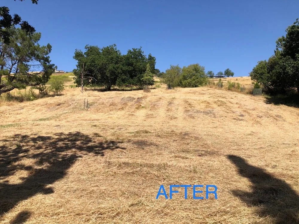 Expert landscaping services for residential properties across Morgan Hill, CA - Bay Area Weed Eaters