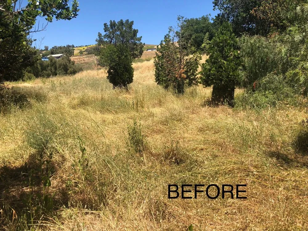 Reliable yard cleanup service experts serving Morgan Hill, CA - Bay Area Weed Eaters