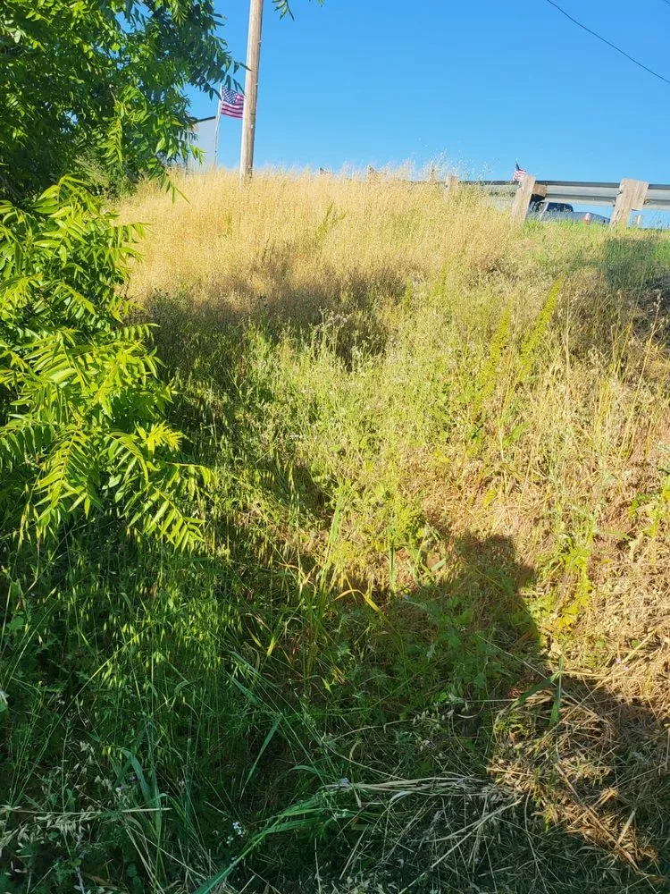 Affordable landscaping services in Morgan Hill, CA by Bay Area Weed Eaters