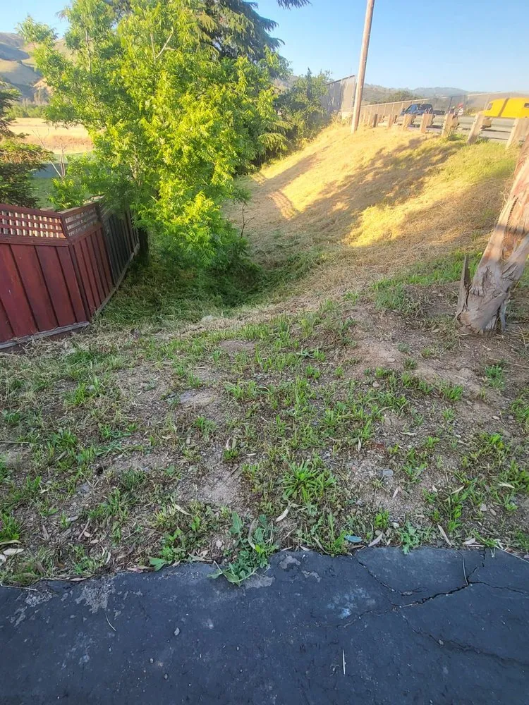 Expert yard cleanup service in Morgan Hill, CA by Bay Area Weed Eaters