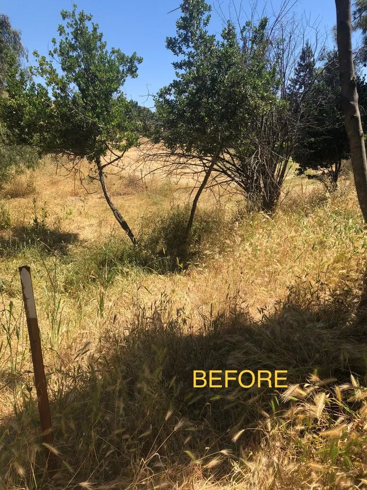 Local landscape installation for beautiful yards in Morgan Hill, CA by Bay Area Weed Eaters