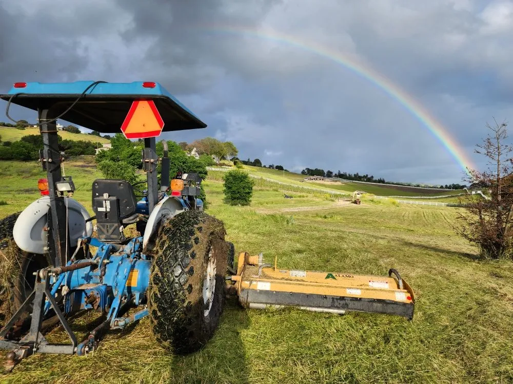 Trusted garden landscaping experts serving Morgan Hill, CA - Bay Area Weed Eaters